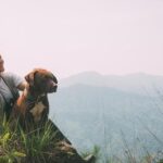 Dog Training Pad Absorbent and leak-proof dog training pad for easy cleanup and housebreaking. Great for indoor puppy training