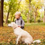 Elite Dog Training Elite Dog Training: Professional obedience classes for canines of all breeds and ages