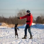 How to Train Your Dog Not to Bark Using positive reinforcement, teach 'How to Train Your Dog Not to Bark' with consistency and patience