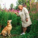 Professional Dog Training Services in Orlando