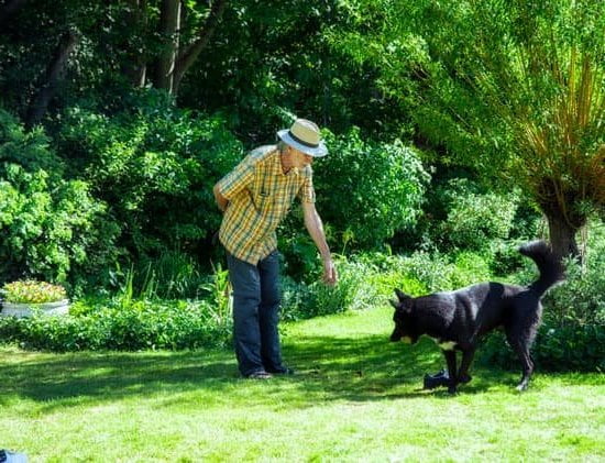 Transform aggressive behavior with Bulletproof Dog Training—calm, obedient, and safe for all