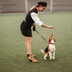 Private Dog Training Private dog training session with experienced trainer for personalized and effective learning