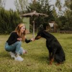 Deaf Dog Training DEAF DOG TRAINING: Positive reinforcement methods for training a deaf dog effectively at home