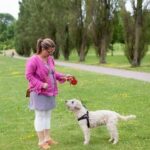 Small Dog Training Collar Effective and humane small dog training collar for behavioral correction and obedience training