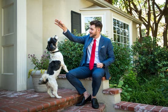 Dog Button Training 1 Train your dog with positive reinforcement using button training methods