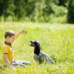 Best Dog Training App Revolutionize canine behavior with the best dog training app available today