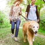 Training Schools for Dogs Professional training schools for dogs offering obedience, agility, and behavior classes