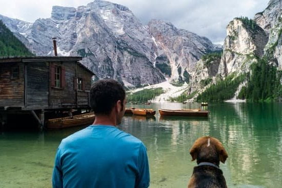 Browse our selection of professional-quality DOG TRAINING EQUIPMENT for effective and efficient training sessions