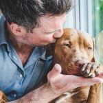 Are Buddy Trainer Treats Good for Dogs healthy, satisfying, and perfect for training sessions