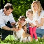 Where Can I Get My Dog Service Trained Where Can I Get My Dog Service Trained