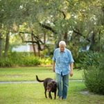 Visual of drug-sniffing dogs present at train stations for security and safety purposes