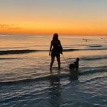 What Is the Cost of Dog Obedience Training Discover the cost of dog obedience training to effectively train your pet