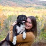 How to Train Senior Dog to Use Doggy Door gentle, patient guidance for older pups