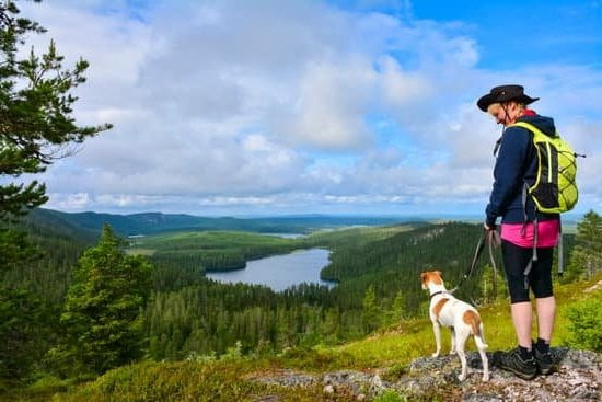 Service animal enjoying comfortable travel with Canine Companions