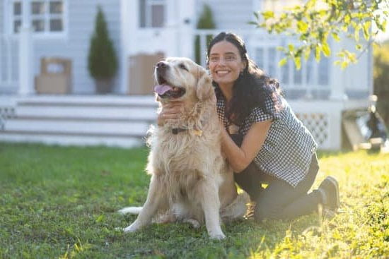 Step-by-step guide on how to train an apathetic dog with positive reinforcement and patience