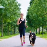 Train your dog to stay by your side using positive reinforcement and consistent practice