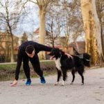 A Dog'S World Training Happy dog learning obedience training at A Dog's World Training Center