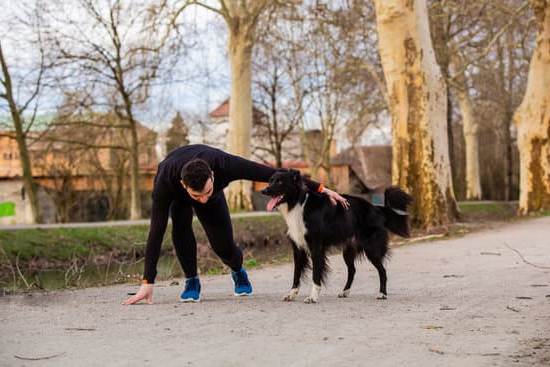 Happy dog learning obedience training at A Dog's World Training Center