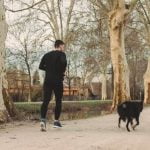 Image of a dog trainer explaining what happened to the dog during training session