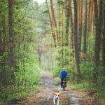 How to Train Your Dog to Pee in the Bathroom Step-by-step guide on how to train your dog to pee in the bathroom