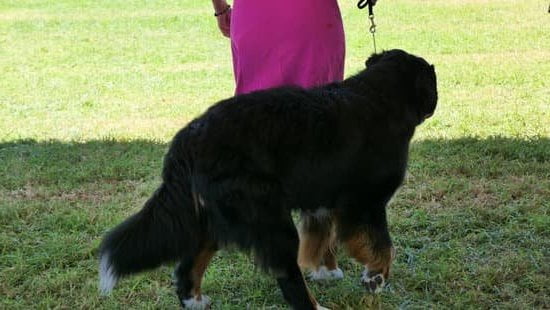 Step-by-Step Guide for Retrieving Training