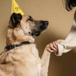 Step-by-step guide for beginners with expert tips