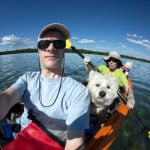 How Can I Train My Dog to Come When Called Effective Methods for Teaching Reliable Recall Commands