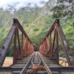 How to Train a Dog Not to Bark or Whine Positive reinforcement and consistent training