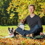 Step-by-step guide on how to train a bad-tempered dog using positive reinforcement and professional behavior techniques