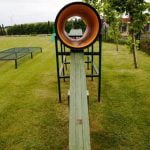 How Do You Train a Dog to Do Paw