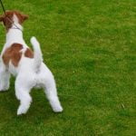 Effective Methods and Tips