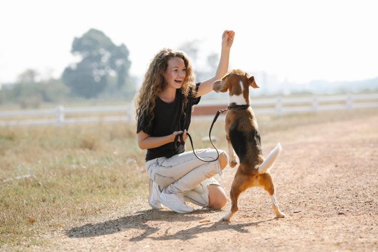 Step-by-step Guide on How to Train Your Dog to Stop Barking So Much