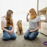 How to Train Your Dog to Shake Body How to Train Your Dog to Shake Body