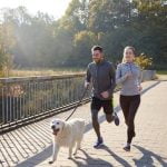 How to train dog to go back to home