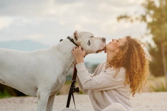 Don'T Make Me Use My Dog Training Voice 1 Woman looking sternly at dog with leash, captioned with 'DON'T MAKE ME USE MY DOG TRAINING VOICE'
