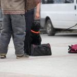 Step-by-Step Guide for Success