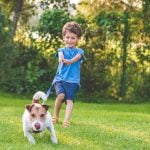 How to Train Your Dog to Do a Backflip How to Train Your Dog to Do a Backflip