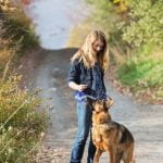 How to Train Dog Not to Chew on Stuff positive reinforcement, chew toys, and consistent training