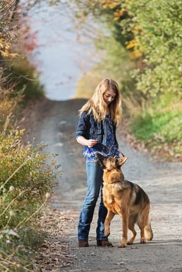 positive reinforcement, chew toys, and consistent training