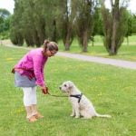 How to House Train a Blind Dog - Step-by-step guide on how to house train a blind dog