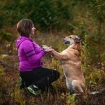 Step-by-step guide for successful housebreaking of your new puppy