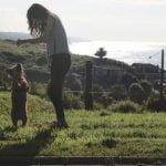 How Old Should Dogs Be Potty Trained How old should dogs be potty trained Tips for effective dog potty training timeline