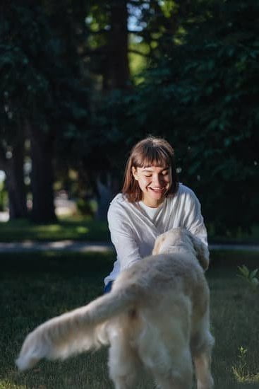 Where to Train Dog Walk 1 Find the best location to train your dog to walk with confidence and obedience