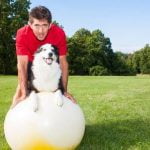 Train your dog to stay off the sofa using positive reinforcement and consistent boundaries