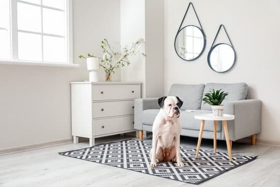 Step-by-step guide on how to train dog to wait before eating using positive reinforcement