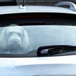 Do Dogs Forget Potty Training After Boarding Do dogs forget potty training after boarding Key considerations for retraining your dog