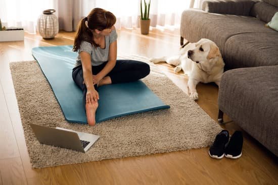 How to Train Dog to Heel 1 Step-by-step guide for how to train dog to heel on a leash