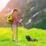 How to Train Your Dog Not to Jump the Fence expert tips and techniques