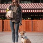 Is Hitting a Dog Training A person is hitting a dog with a newspaper to stop bad behavior