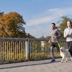 How to Train a Dog to Search for Drugs Step-by-step guide on how to train a dog to search for drugs effectively